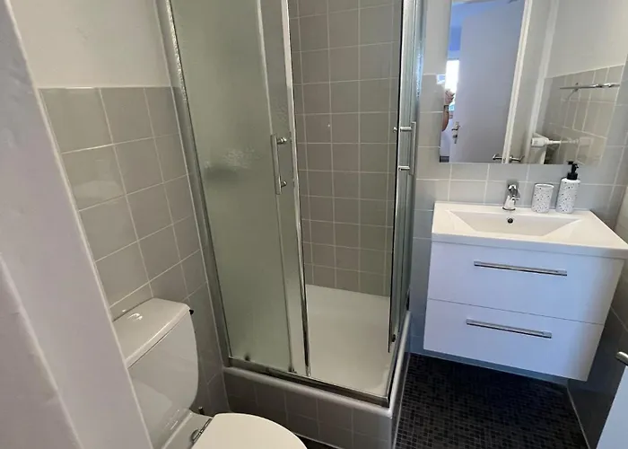 Au Centre Des 4 Vallees 公寓 南达